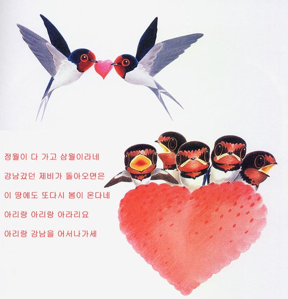 제비(9)